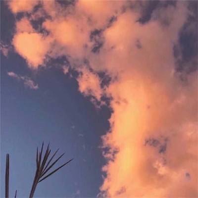 第一射击战场生存手游下载